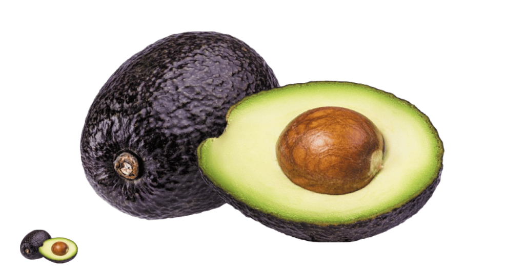 A close-up picture of avocados related to avocado nutrition facts, in white background.