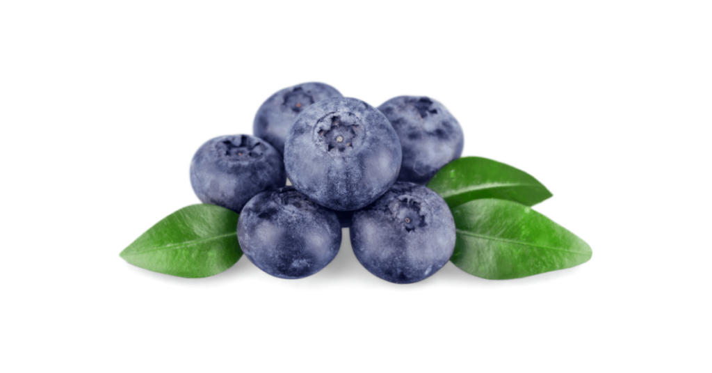 A close-up picture of blueberries related to blueberry nutrition facts, in white background.