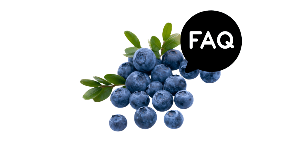 A pic of fresh blueberries next to a black banner for blueberries nutrition FAQs.