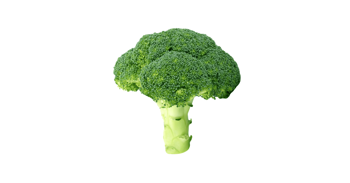 A close-up picture of broccoli related to broccoli nutrition facts, in white background.