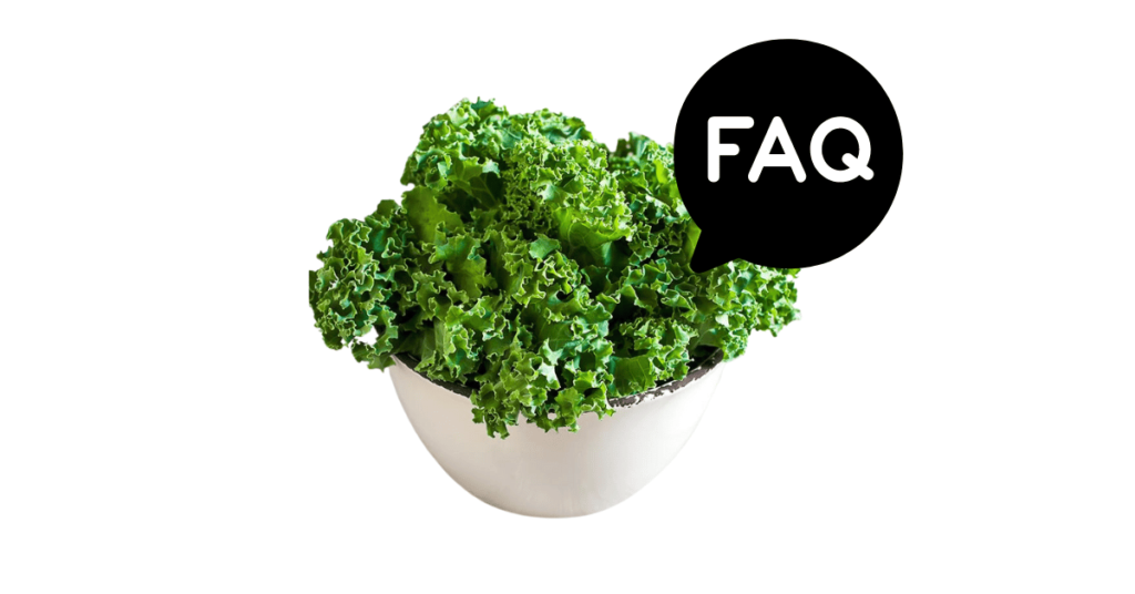 A pic of fresh kale next to a black banner for kale nutrition FAQs.