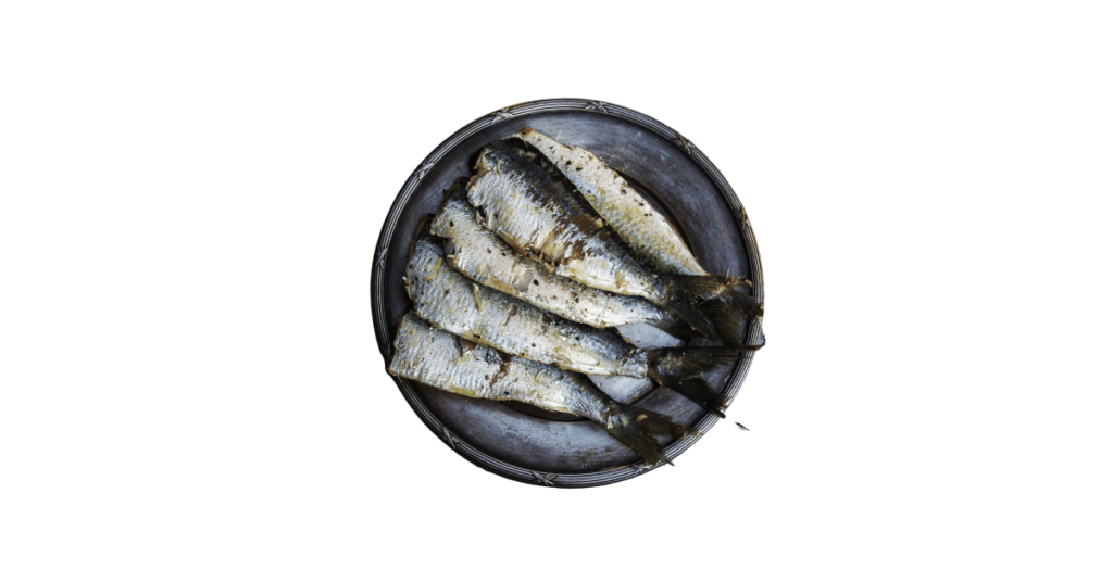 A close-up picture of sardines related to sardine nutrition facts, in white background.