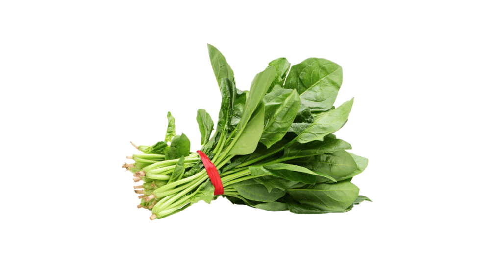 A close-up picture of spinach related to spinach nutrition facts, in white background.