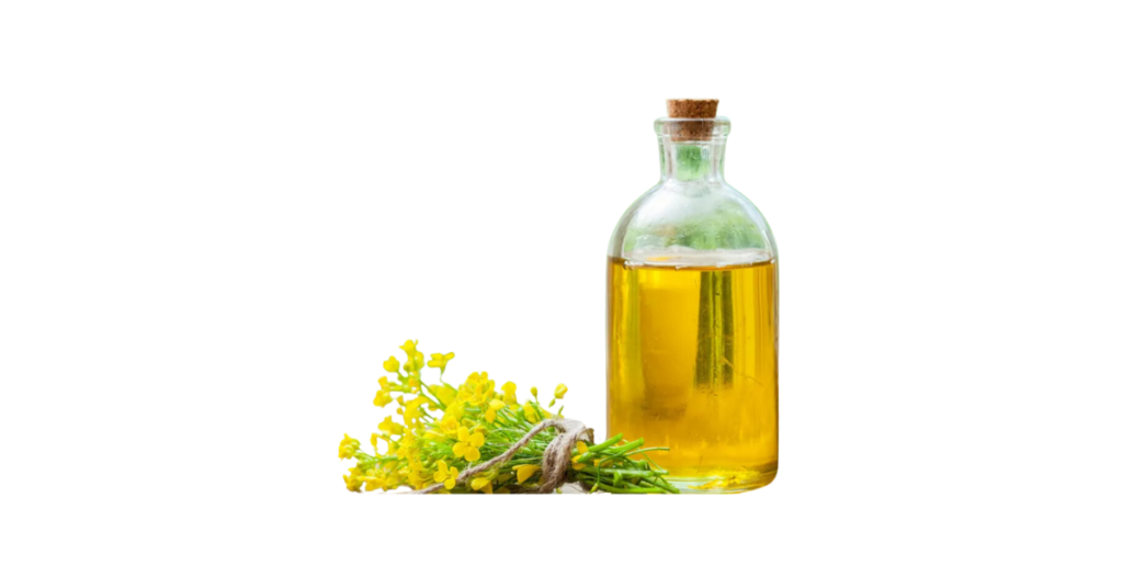 A close-up picture of canola oil related to canola oil nutrition facts, in white background.