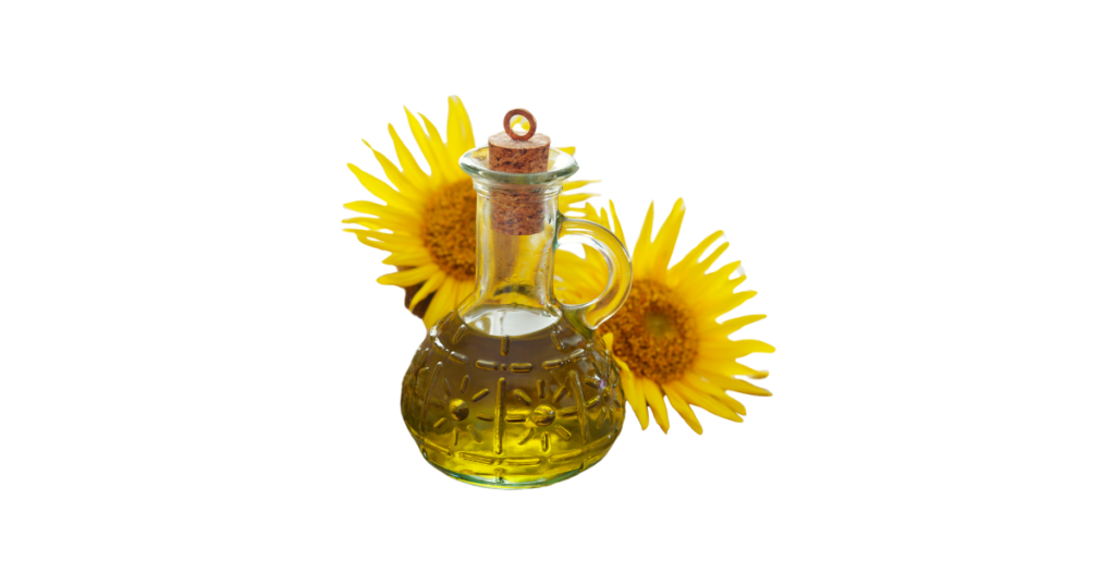 Studio photos of the most common safflower oil substitutes and safflower oil alternatives.