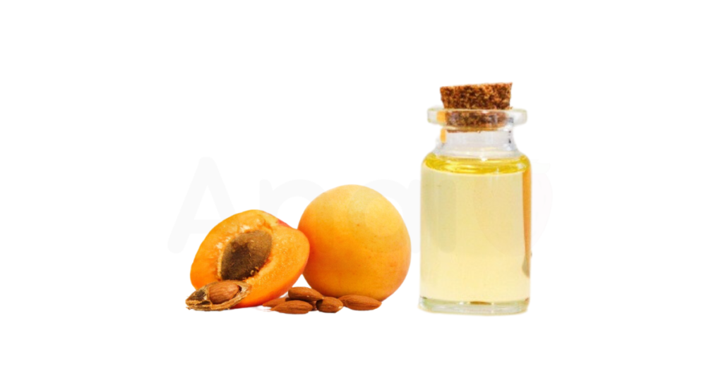 A close-up picture of apricot kernel oil related to apricot kernel oil nutrition facts, in white background.