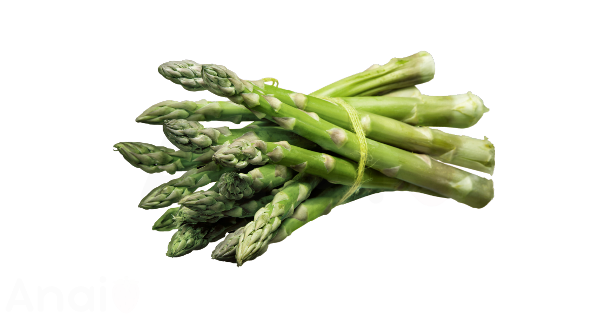 A close-up picture of asparagus related to asparagus nutrition facts, in white background.