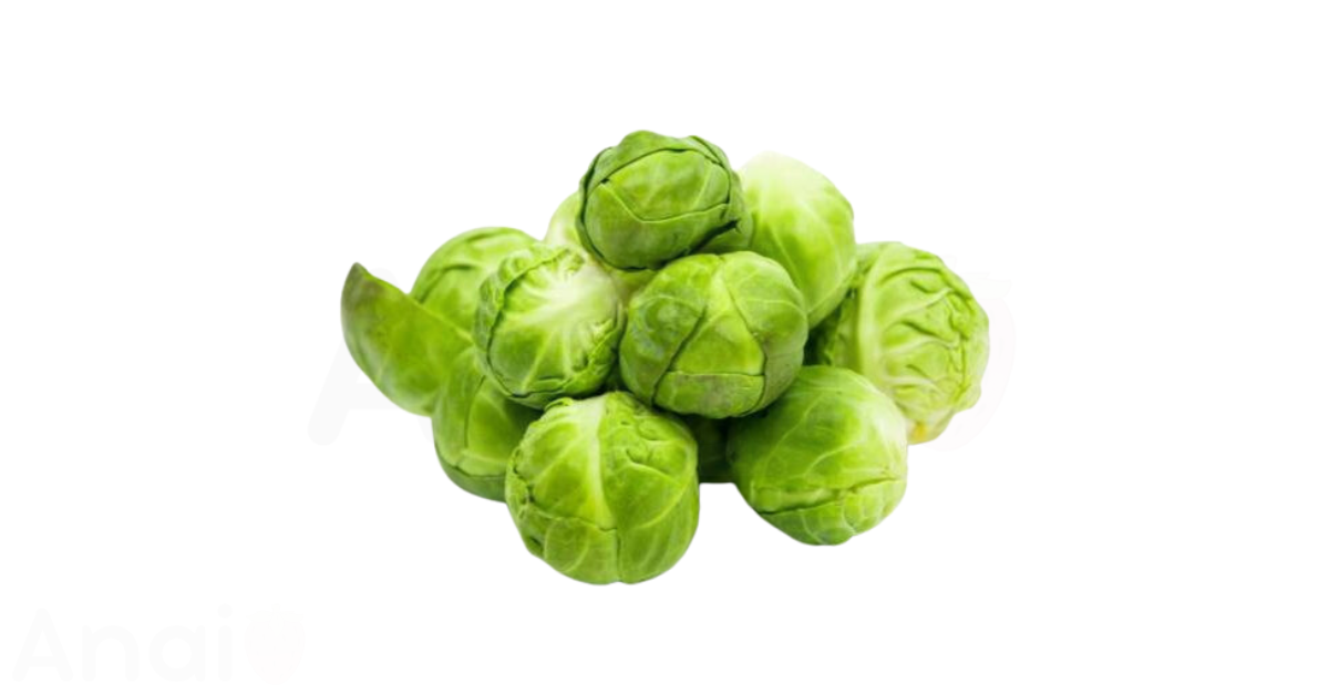 A close-up picture of brussels sprouts related to brussels sprout nutrition facts, in white background.