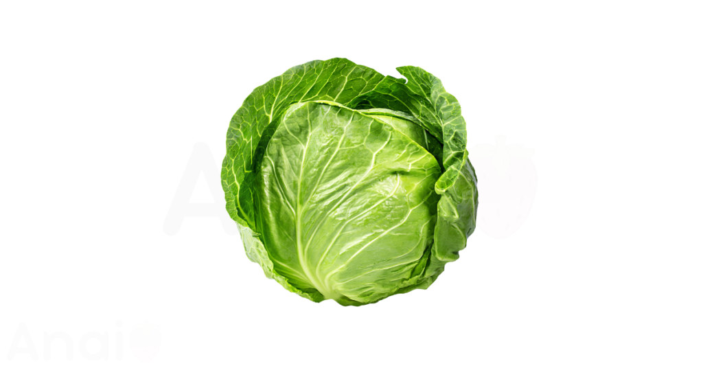 Studio photos of the most common brussels sprout substitutes and brussels sprout alternatives.