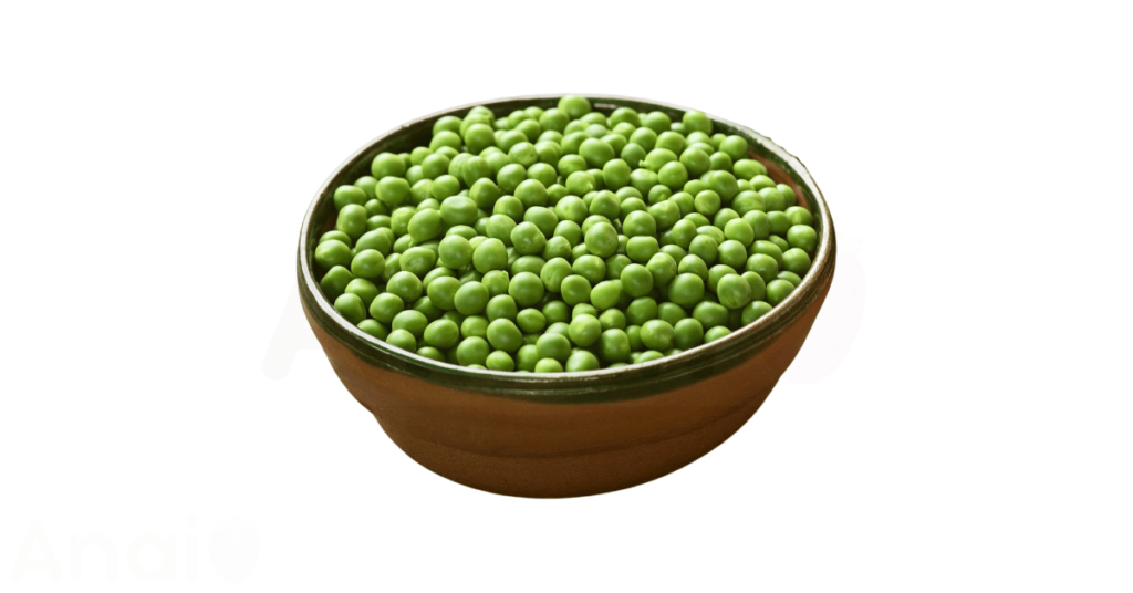 Studio photos of the most common edamame substitutes and edamame alternatives.