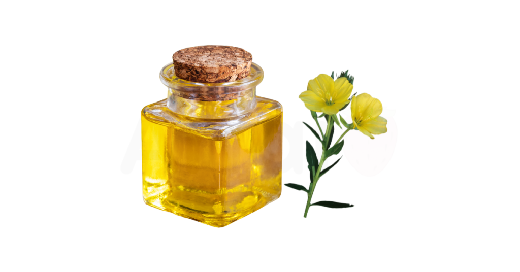 A close-up picture of evening primrose oil related to evening primrose oil nutrition facts, in white background.