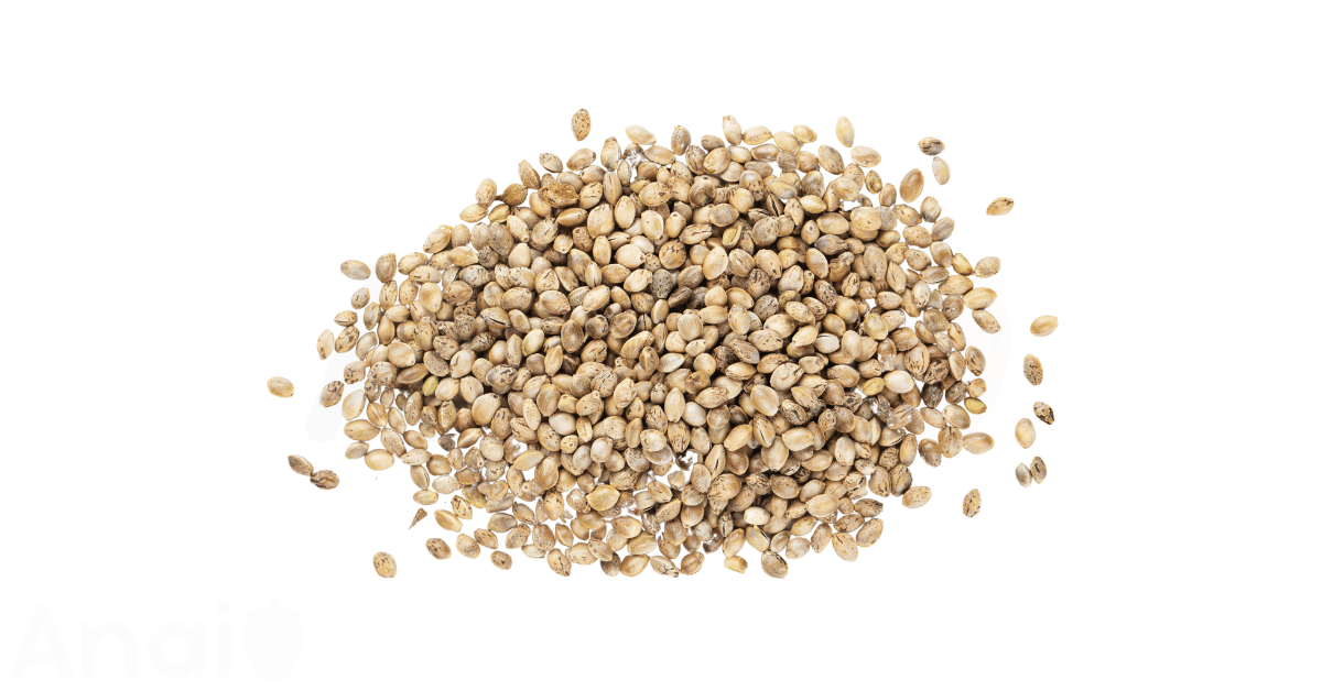 A close-up picture of hemp seeds related to hemp seed nutrition facts, in white background.