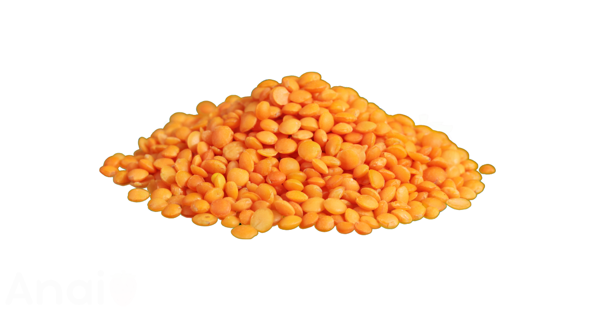 A close-up picture of lentils related to lentil nutrition facts, in white background.