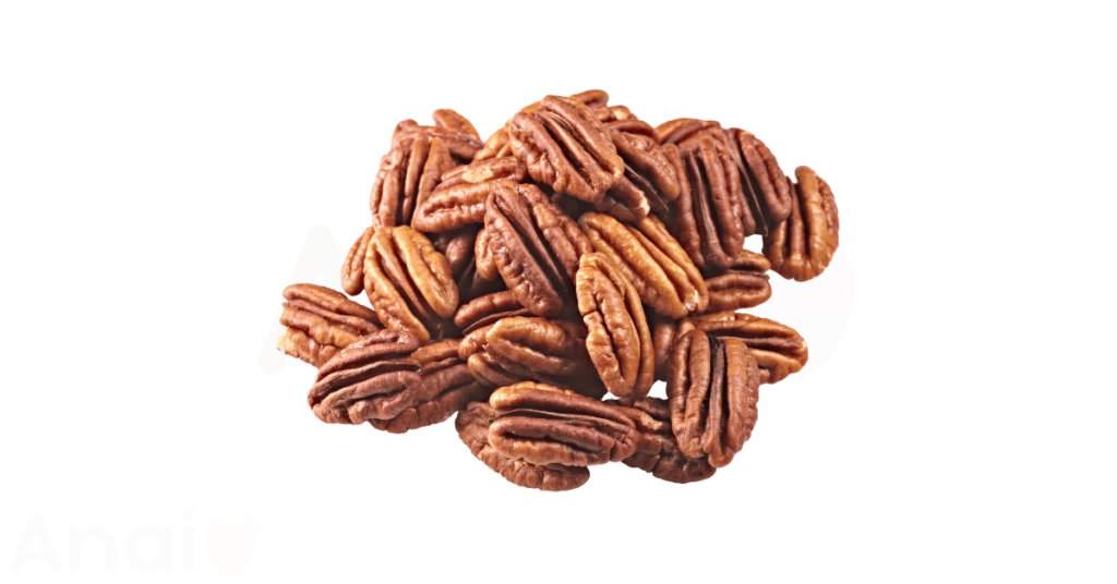 Studio photos of the most common walnut substitutes and walnut alternatives.