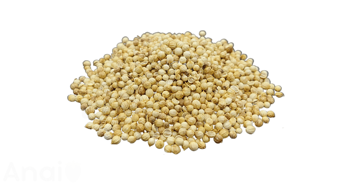 A close-up picture of coriander seeds related to coriander seed nutrition facts, in white background.