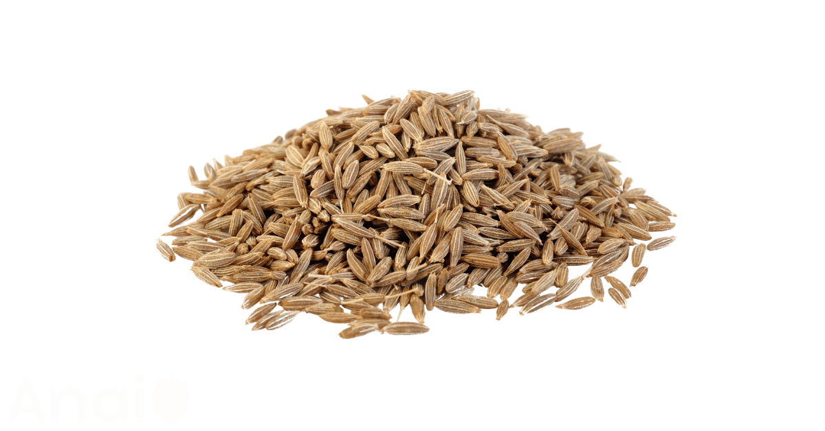 A close-up picture of cumin seeds related to cumin seed nutrition facts, in white background.