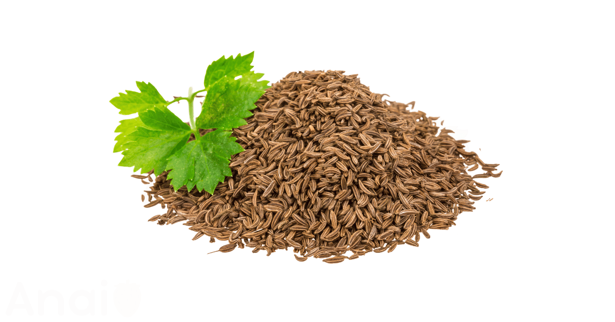 A close-up picture of caraway seeds related to caraway seed nutrition facts, in white background.