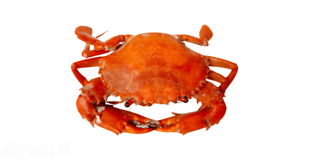 Crab Nutrition Facts Calories And Top 11 Health Benefits