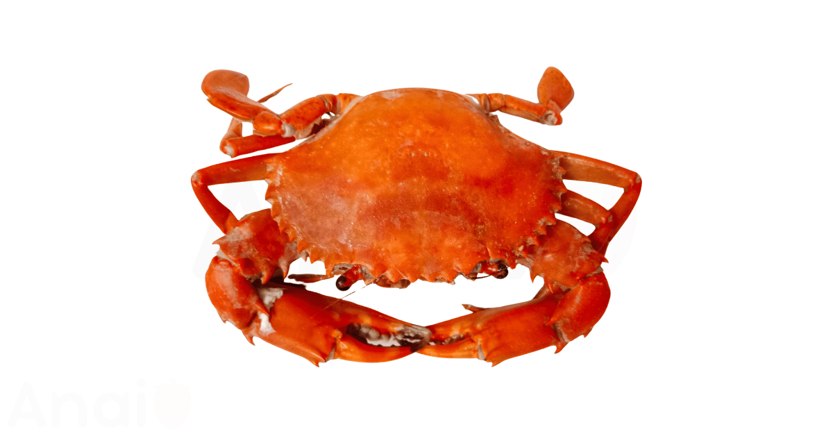 A close-up picture of crabs related to crab nutrition facts, in white background.