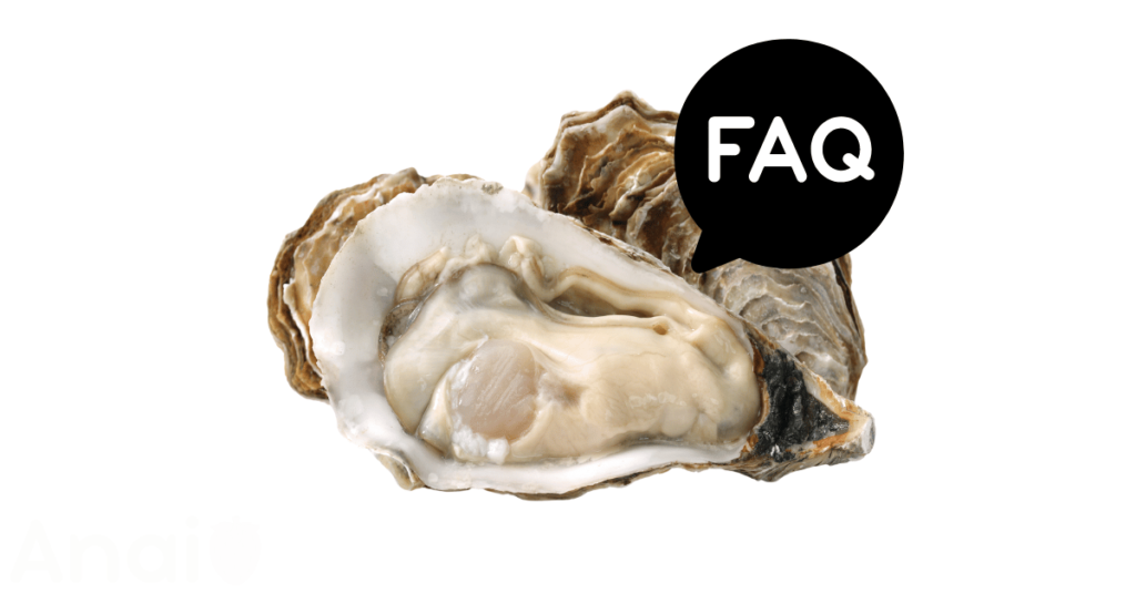 A pic of fresh oysters next to a black banner for oysters nutrition FAQs.