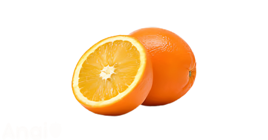 Studio photos of the most common grapefruit substitutes and grapefruit alternatives.