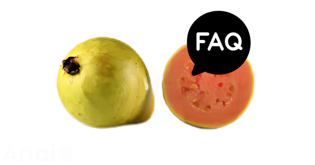 A pic of fresh guavas next to a black banner for guavas nutrition FAQs.
