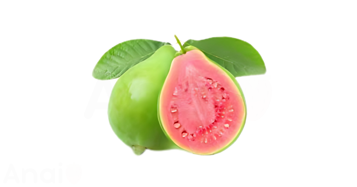 A close-up picture of guavas related to guava nutrition facts, in white background.