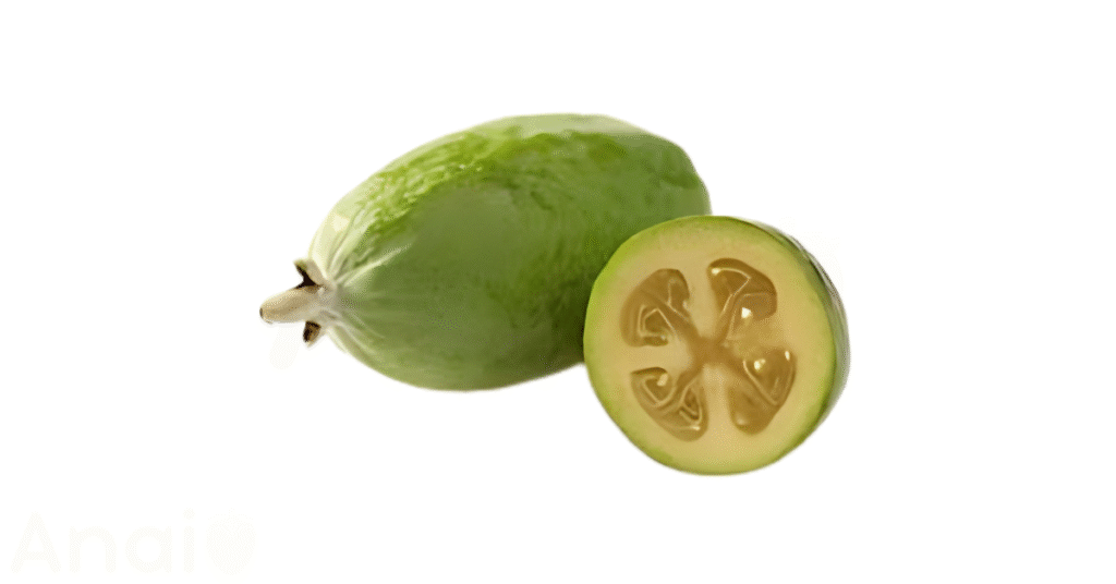 Studio photos of the most common guava substitutes and guava alternatives.