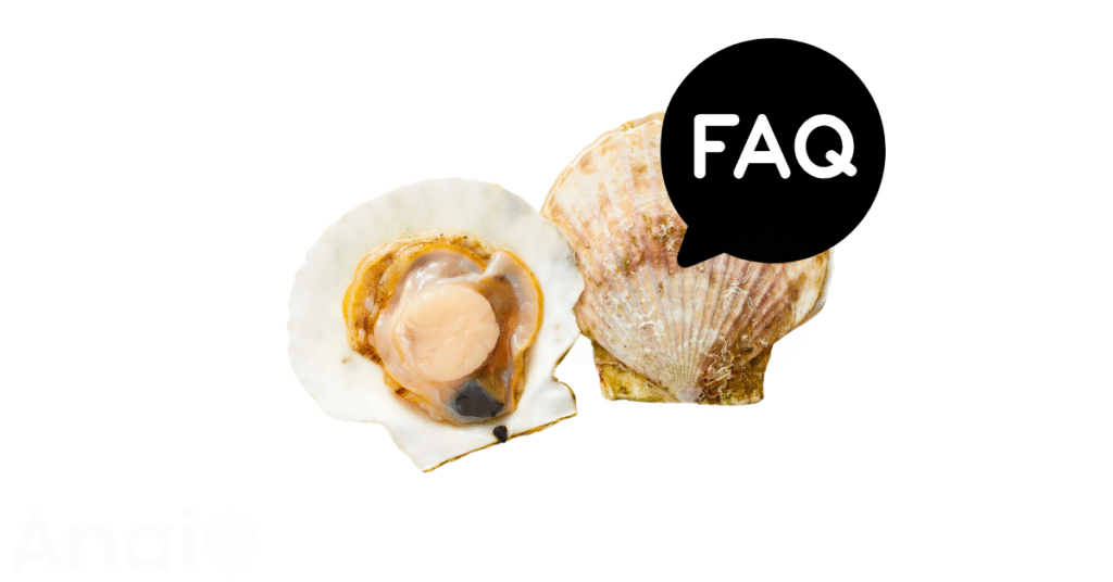A pic of fresh scallops next to a black banner for scallops nutrition FAQs.