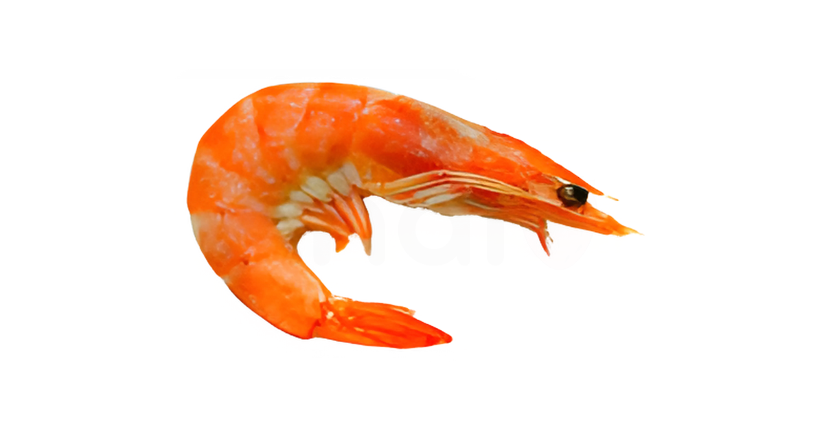 A close-up picture of shrimps related to shrimp nutrition facts, in white background.