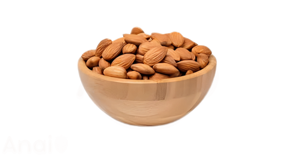 Studio photos of the most common cashew substitutes and cashew alternatives.