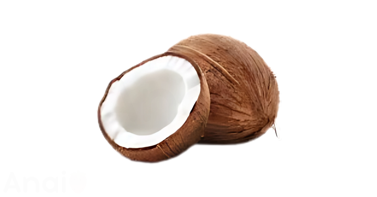A close-up picture of coconuts related to coconut nutrition facts, in white background.