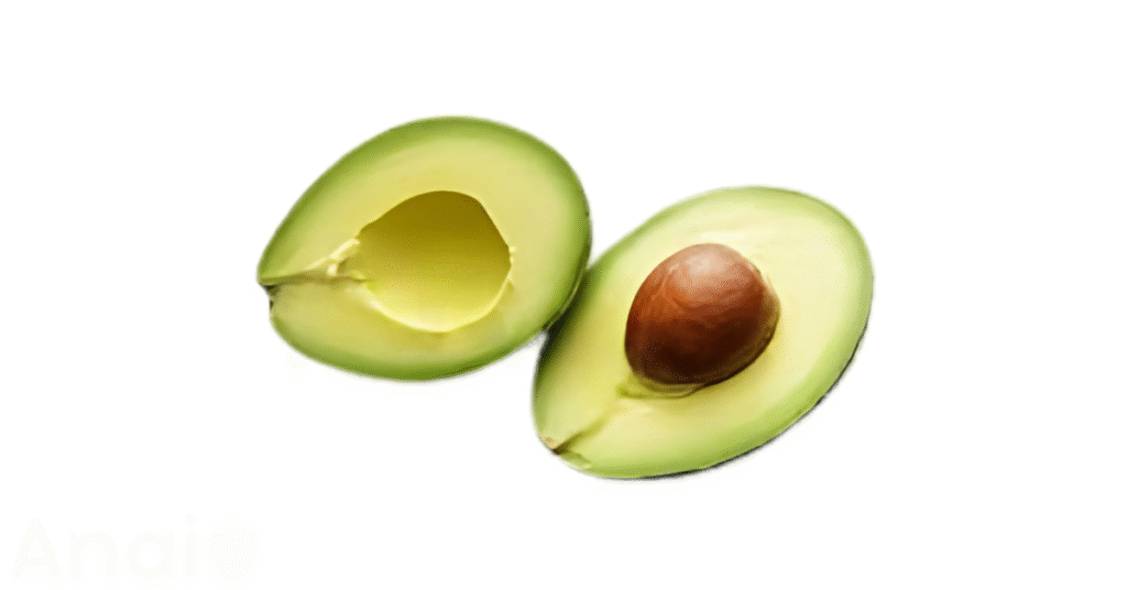 Studio photos of the most common coconut substitutes and coconut alternatives.