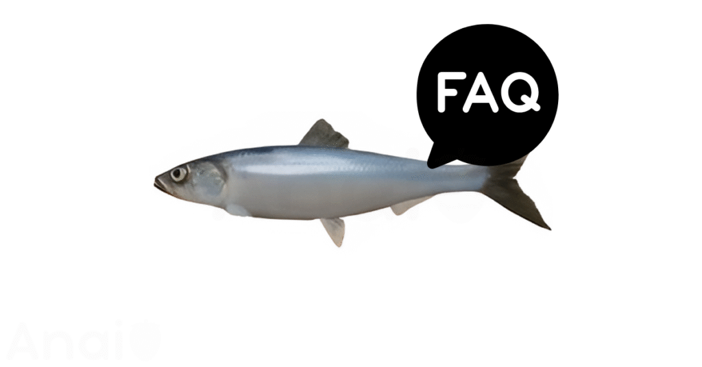 A pic of fresh herring next to a black banner for herring nutrition FAQs.