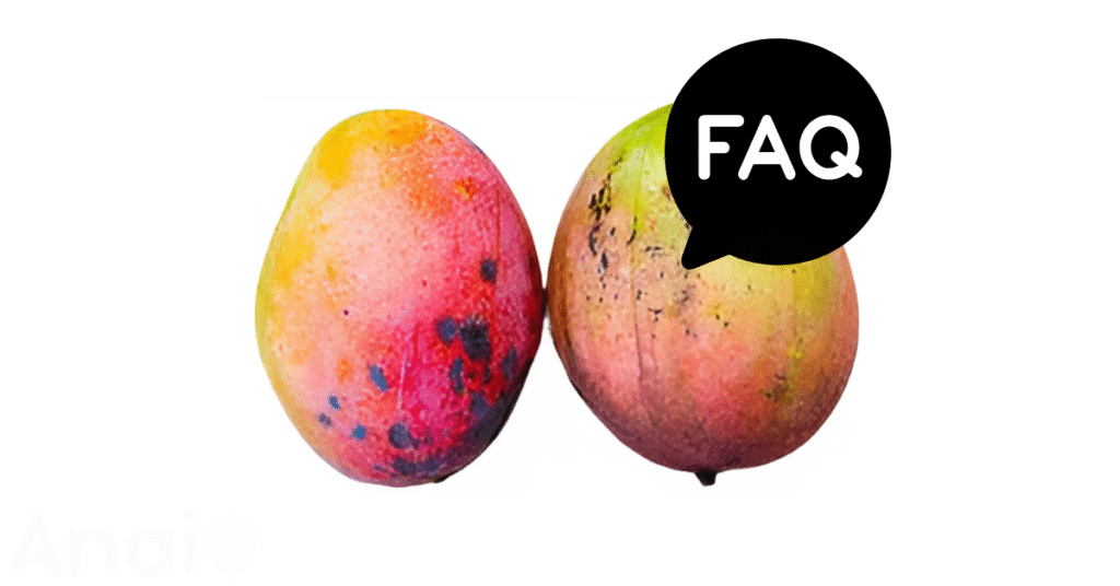 A pic of fresh mangos next to a black banner for mangos nutrition FAQs.