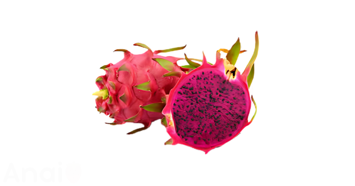 A close-up picture of pitayas related to pitaya nutrition facts, in white background.