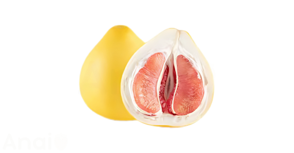 A close-up picture of pomelos related to pomelo nutrition facts, in white background.