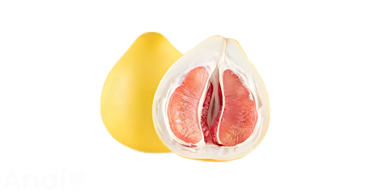 A close-up picture of pomelos related to pomelo nutrition facts, in white background.