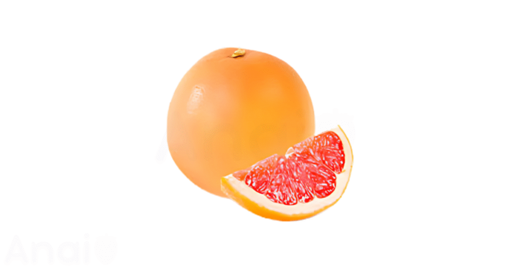 Studio photos of the most common pomelo substitutes and pomelo alternatives.