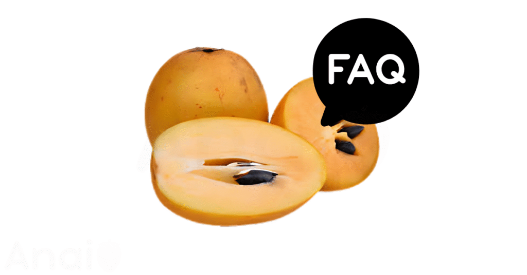 A pic of fresh sapodillas next to a black banner for sapodillas nutrition FAQs.