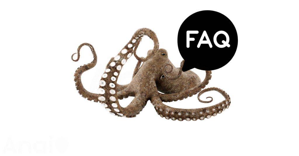 A pic of fresh octopus next to a black banner for octopus nutrition FAQs.