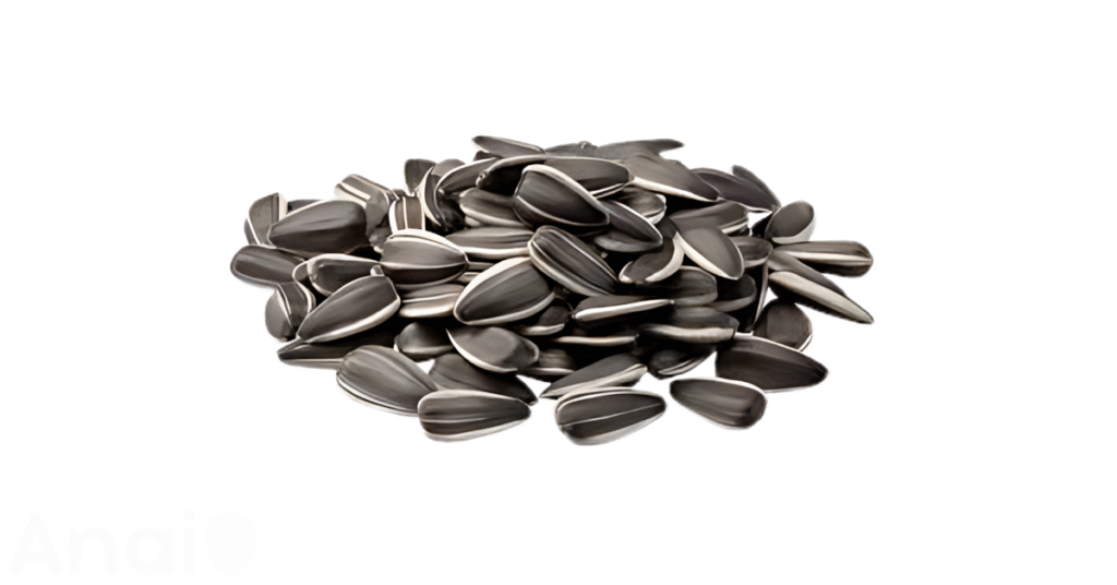 Studio photos of the most common pumpkin seed substitutes and pumpkin seed alternatives.