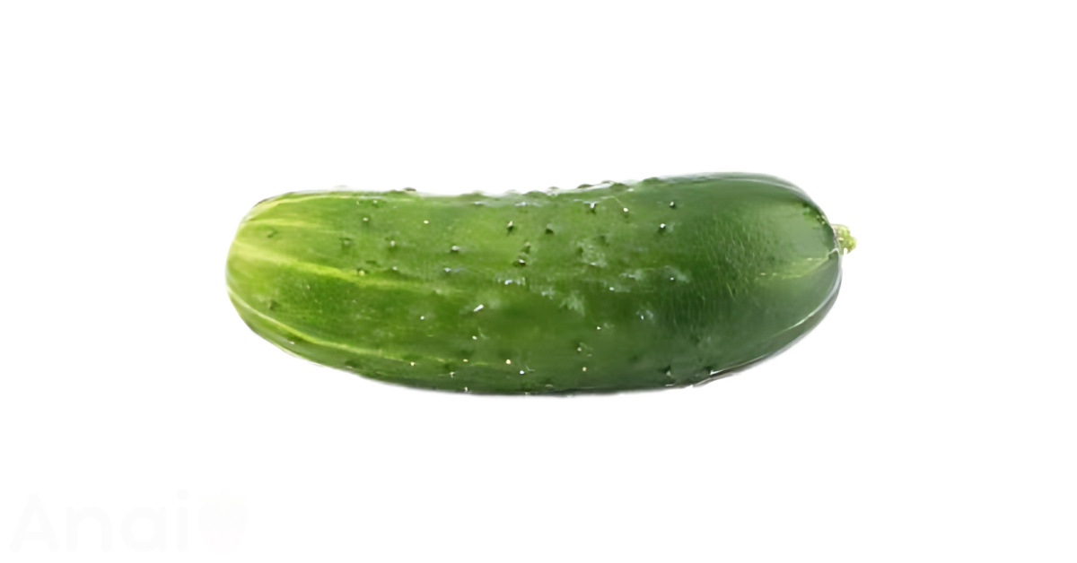 A close-up picture of cucumbers related to cucumber nutrition facts, in white background.