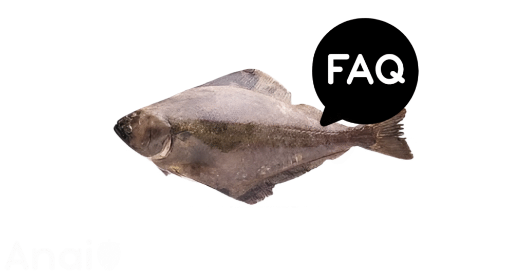 A pic of fresh halibut next to a black banner for halibut nutrition FAQs.