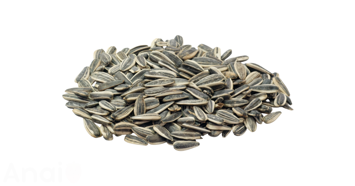A close-up picture of sunflower seeds related to sunflower seed nutrition facts, in white background.