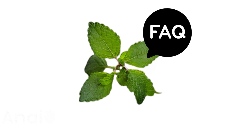 A pic of fresh lemon balm next to a black banner for lemon balm nutrition FAQs.