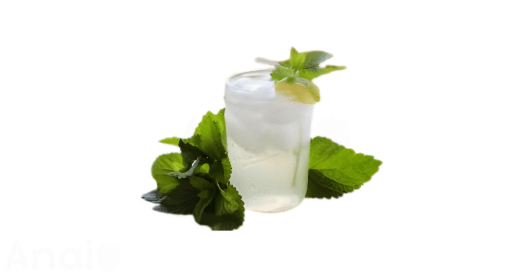An easy lemon balm recipe using lemon balm as the main ingredient