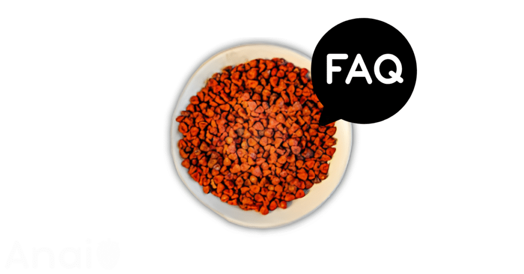 A pic of fresh annatto seeds next to a black banner for annatto seeds nutrition FAQs.
