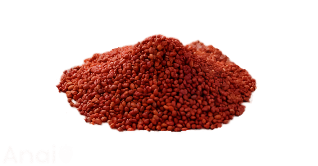 A close-up picture of annatto seeds related to annatto seed nutrition facts, in white background.