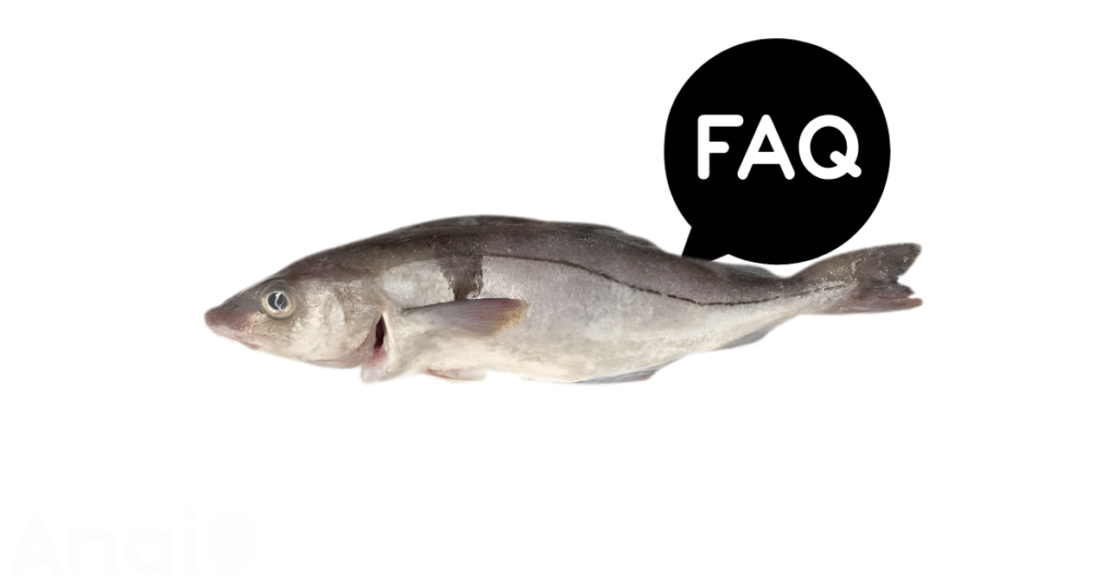 A pic of fresh haddock next to a black banner for haddock nutrition FAQs.